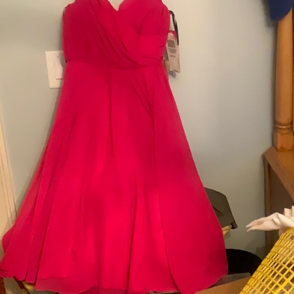 BEAUTIFUL FUSCHIA DRESS SIZE 10 MOLLY & JACK NWT 170 - Picture 2 of 10
